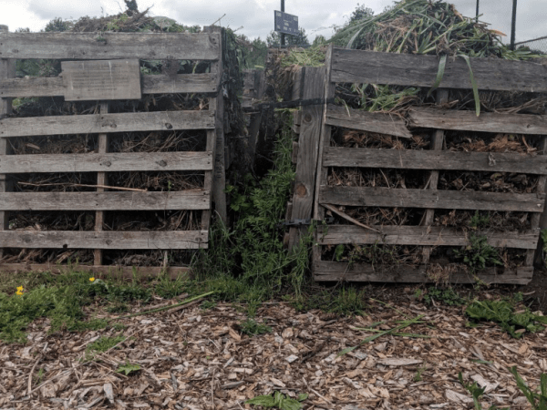 Bin or Bust: Compost Challenges at&nbsp;UWB