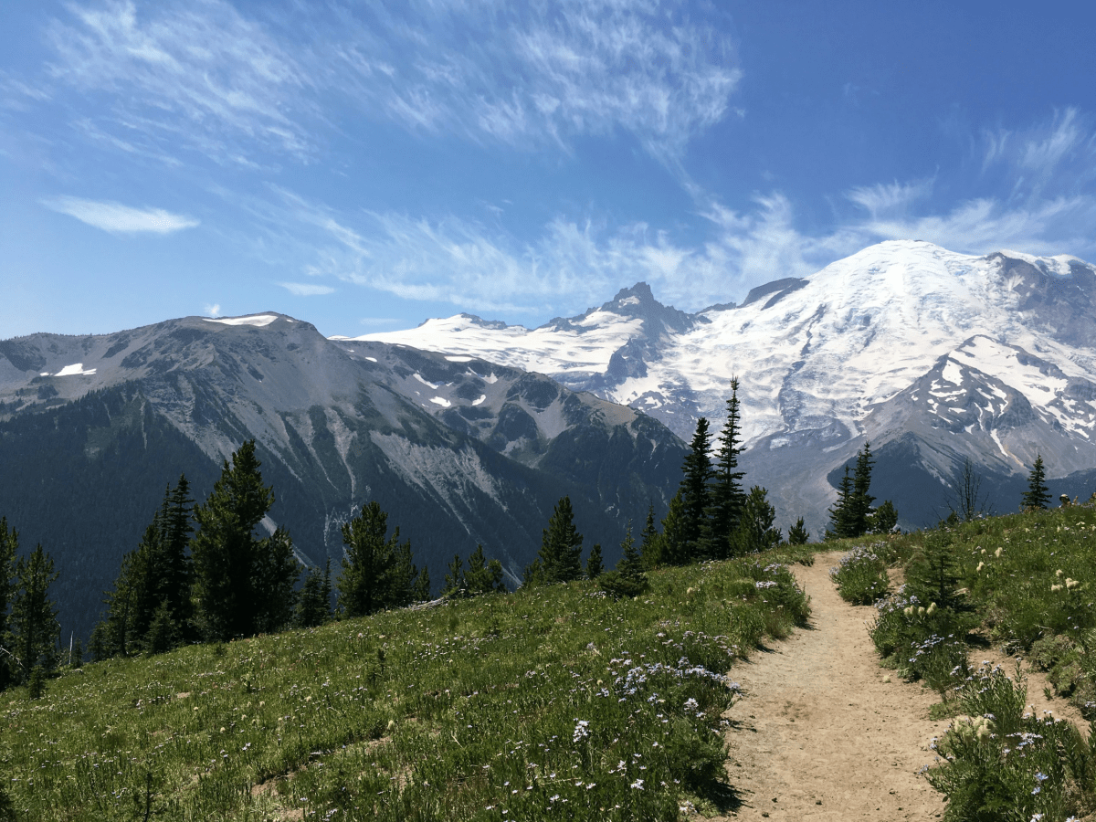 The Evergreen State is Heating Up by Zoya&nbsp;Merakov